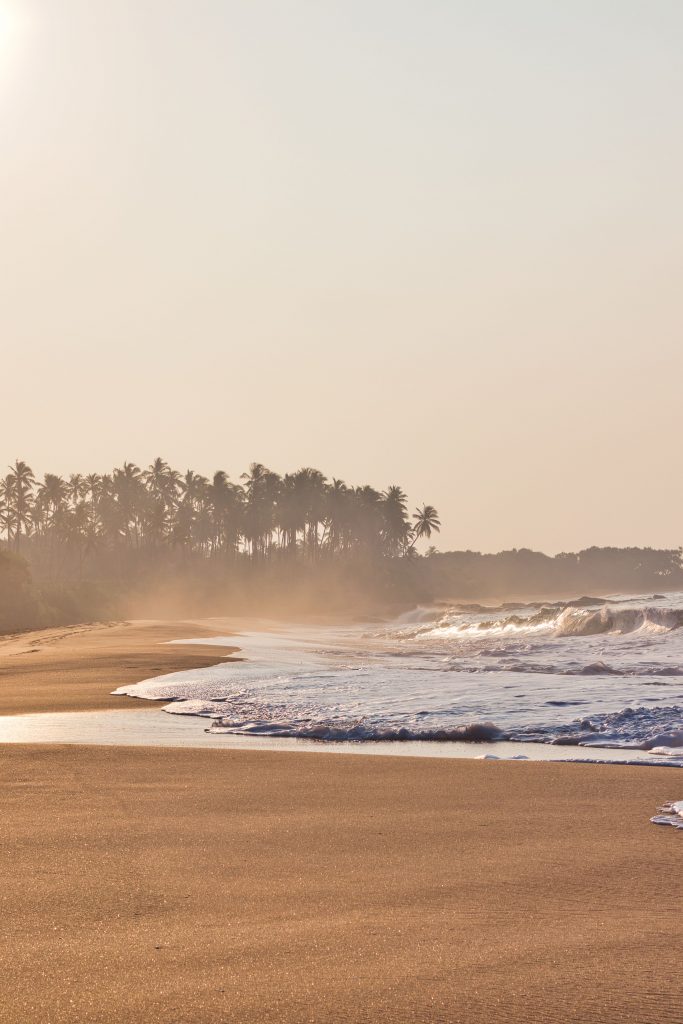 Morning Lights at Rekawa Beach in Tangalle, Sri Lanka, overlooking the ocean, waves and palm trees.