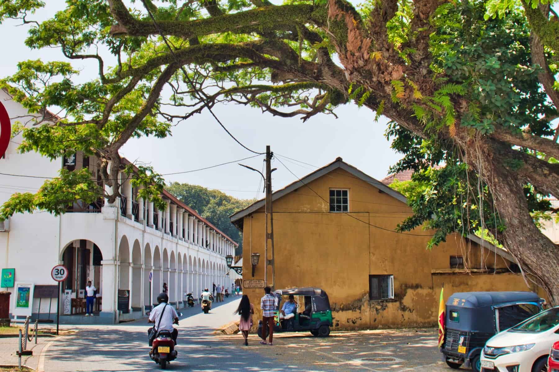 Typical road in Sri Lanka with scooters, cars, and tuk tuks, showing common transport options for getting around.