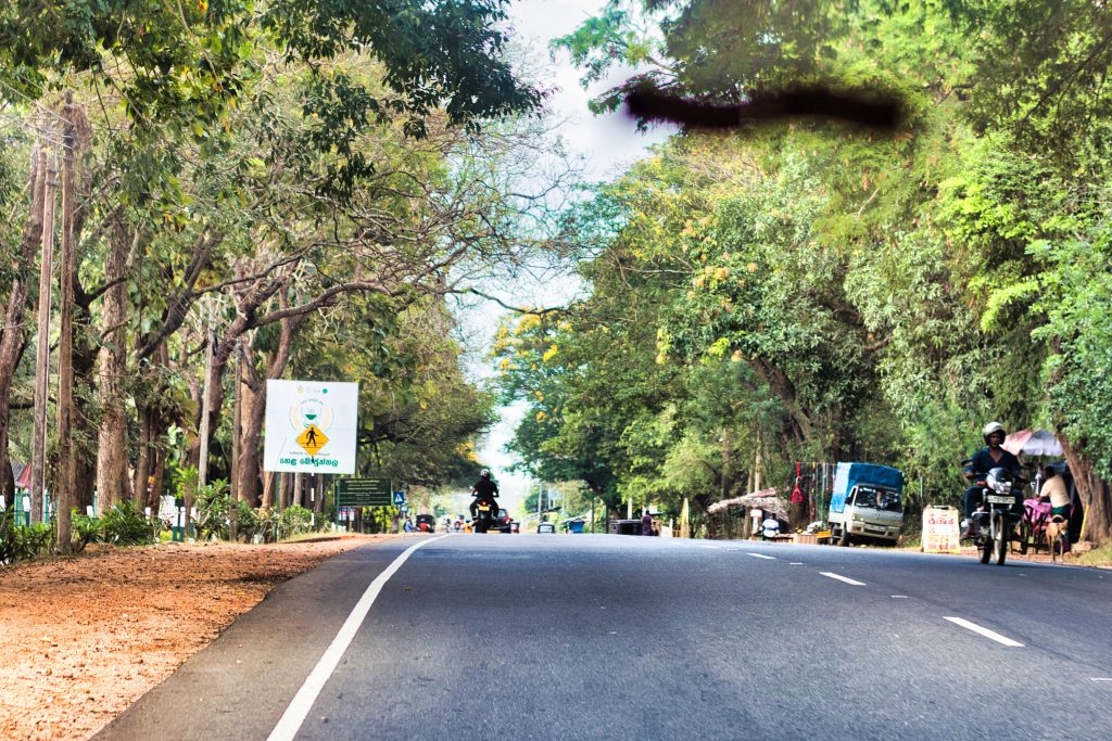 Well-paved road in Sri Lanka lined with large trees and local vendors selling goods by the roadside.