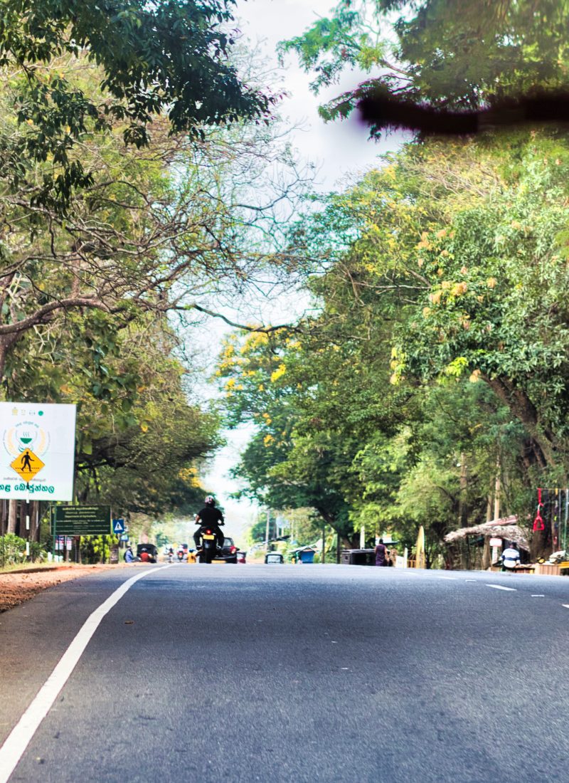 How to Get Around in Sri Lanka: Public Transport or Self-Driving?