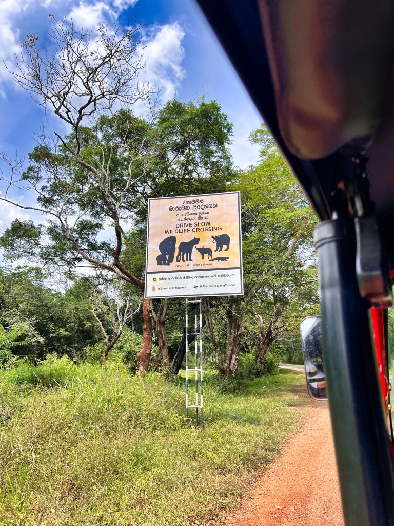 Sri Lanka road signs warning of elephants and leopards, photographed from a tuk tuk on the way to Sigiriya.