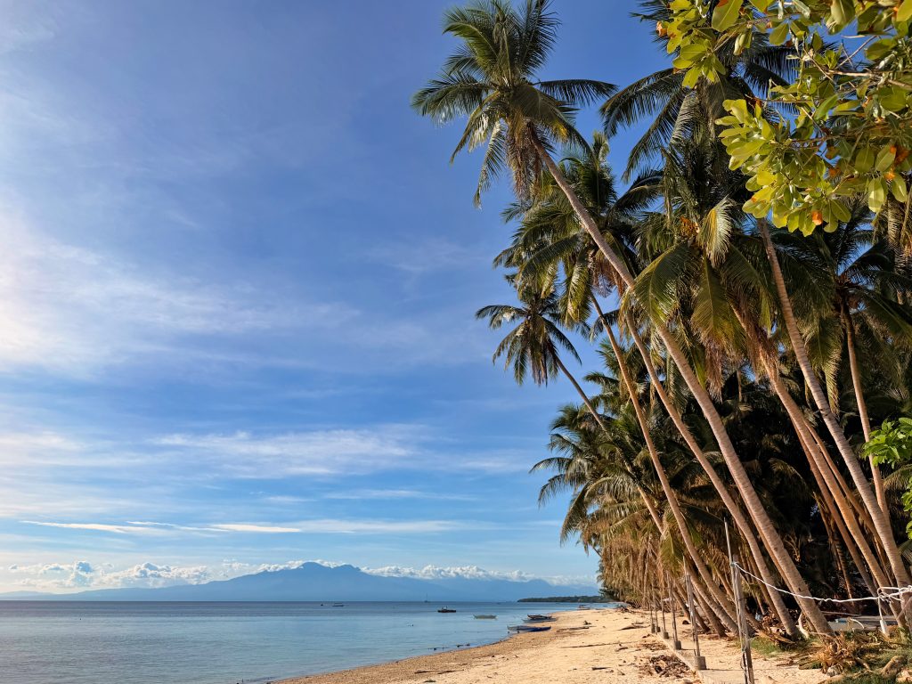 White sand Beach with palm trees in San Juan, the tourist capital of Siquijor Island in the Philippines.Small boats rest near the shore with distant mountains visible across the sea under a clear sky.