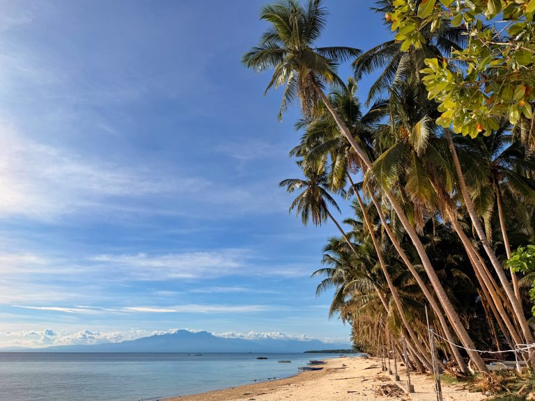 White sand Beach with palm trees in San Juan, the tourist capital of Siquijor Island in the Philippines.Small boats rest near the shore with distant mountains visible across the sea under a clear sky.