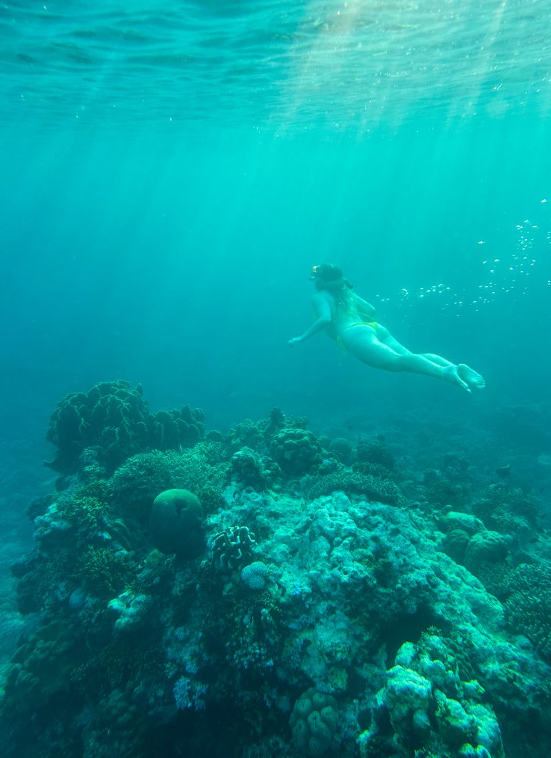 Girl freediving over the coral reef in the Tubod Marine Sanctuary in Siquijor Island, the Philippines