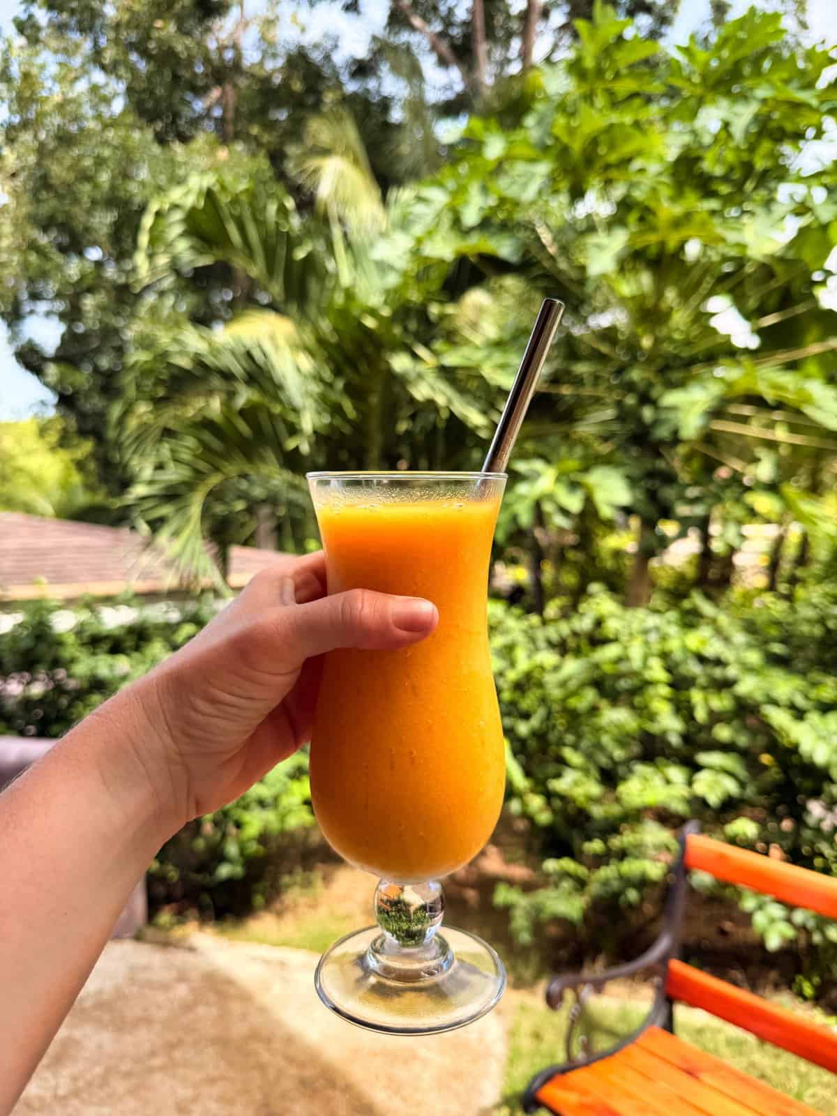 POV holding a fresh mango shake welcome drink at a hotel in Siquijor.
