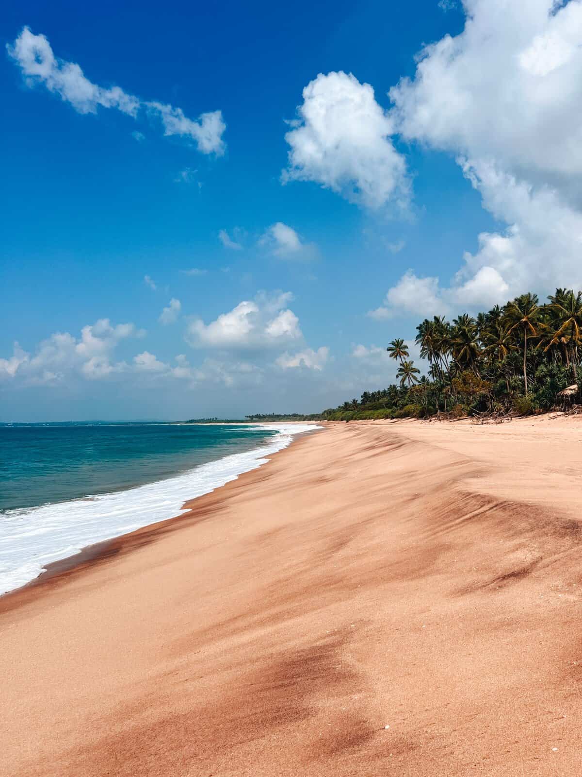 Rekawa Beach in Sri Lanka with turquoise ocean, white sandy shoreline and palm trees – A niche travel destination guide that generates significant Stay22 affiliate bookings